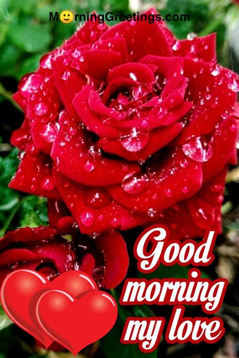 If you’ve sent him a selfie and he responded with this 😍 emoji, then know that he is absolutely mesmerized and stunned by how you look. . Heart romantic good morning rose gif